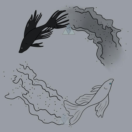 $40 betta design